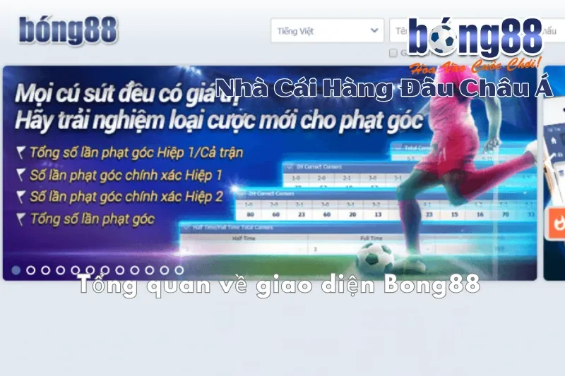 Giao Diện Bong88: Đánh Giá Web & App, Giải Mã Từng Cột Bảng Kèo - GELUJO