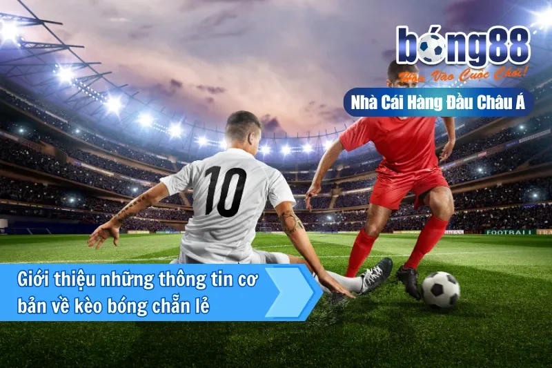 Kèo Chẵn Lẻ Là Gì? Thống Kê Phân Bố & Cách Chơi Đúng Vai Trò 2026 - GELUJO