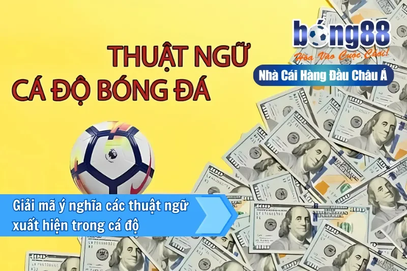 Kèo Chấp Là Gì? Giải Nghĩa Từng Mức Từ 0 Đến 2 Trái & Cách Chọn Cửa - GELUJO Kèo Chấp Là Gì? Giải Nghĩa Từng Mức Từ 0 Đến 2 Trái & Cách Chọn Cửa - GELUJO