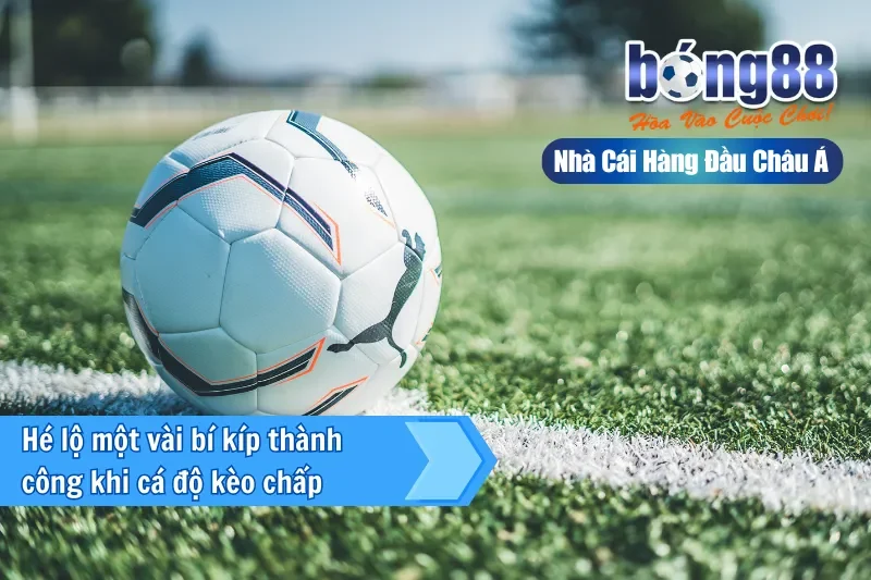 Kèo Châu Á Là Gì? Cách Đọc, Bảng Tính Tiền & Kinh Nghiệm 2026 - GELUJO