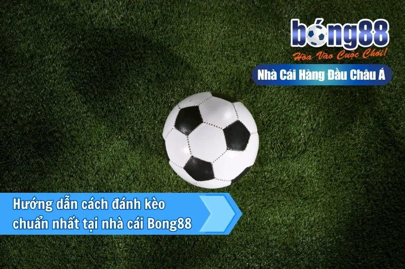 Kèo Giao Bóng Là Gì? Luật Tung Xu Mới & Vai Trò Đúng Của Kèo 50/50 - GELUJO Kèo Giao Bóng Là Gì? Luật Tung Xu Mới & Vai Trò Đúng Của Kèo 50/50 - GELUJO