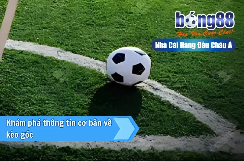 Kèo Góc (Phạt Góc) Là Gì? Cách Chơi, Dữ Liệu Phân Tích & Chiến Thuật Live - GELUJO Kèo Góc (Phạt Góc) Là Gì? Cách Chơi, Dữ Liệu Phân Tích & Chiến Thuật Live - GELUJO