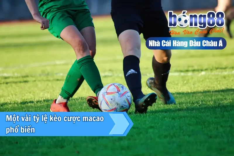 Kèo Macao (Hong Kong) Là Gì? Một Công Thức Đọc Mọi Bảng Kèo Bong88 - GELUJO Kèo Macao (Hong Kong) Là Gì? Một Công Thức Đọc Mọi Bảng Kèo Bong88 - GELUJO