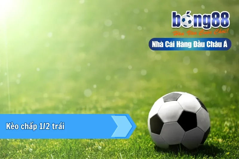 Kèo Macao (Hong Kong) Là Gì? Một Công Thức Đọc Mọi Bảng Kèo Bong88 - GELUJO Kèo Macao (Hong Kong) Là Gì? Một Công Thức Đọc Mọi Bảng Kèo Bong88 - GELUJO
