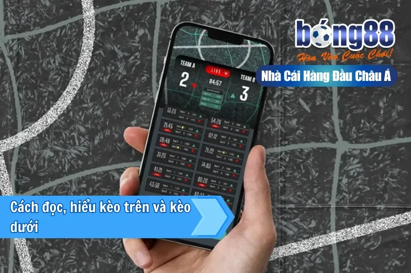 Kèo Trên Kèo Dưới Là Gì? Hiểu Đúng Vị Thế & Khai Thác Giá Trị Cửa Dưới - GELUJO