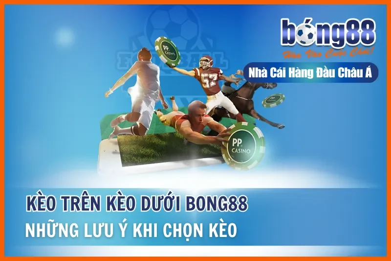 Kèo Trên Kèo Dưới Là Gì? Hiểu Đúng Vị Thế & Khai Thác Giá Trị Cửa Dưới - GELUJO