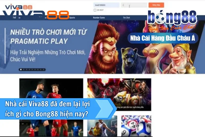 Đại Lý Viva88 — Kênh Bong88 Lâu Năm Nhất, Ủy Quyền Chính Thức Từ 2026 - GELUJO Đại Lý Viva88 — Kênh Bong88 Lâu Năm Nhất, Ủy Quyền Chính Thức Từ 2026 - GELUJO
