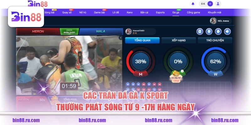 Chơi Đá Gà K-Sport, Chiêm Ngưỡng Màn So Tài Hấp Dẫn - GELUJO