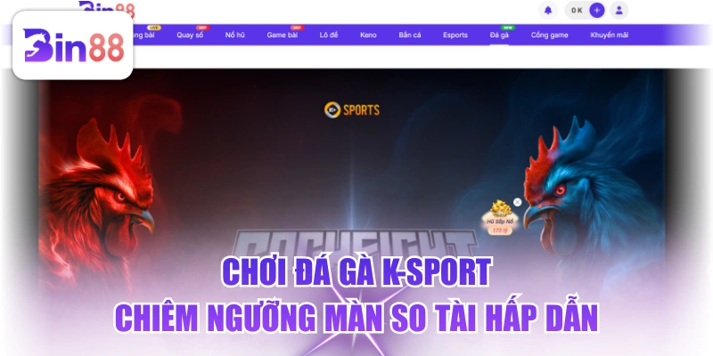 Chơi Đá Gà K-Sport, Chiêm Ngưỡng Màn So Tài Hấp Dẫn - GELUJO
