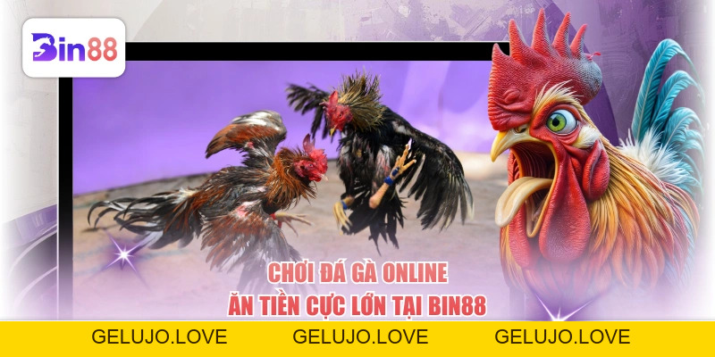 Chơi đá gà online ăn tiền cực lớn tại BIN88