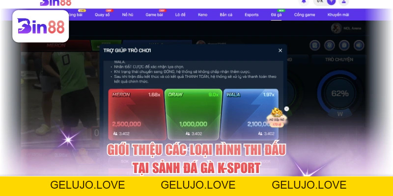 Chơi Đá Gà K-Sport, Chiêm Ngưỡng Màn So Tài Hấp Dẫn - GELUJO
