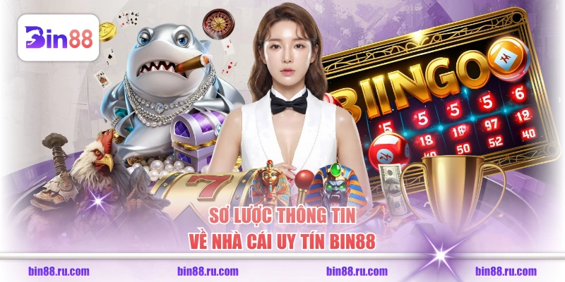Giới Thiệu BIN88 - Sân Chơi Trực Tuyến Dẫn Đầu Châu Á - GELUJO